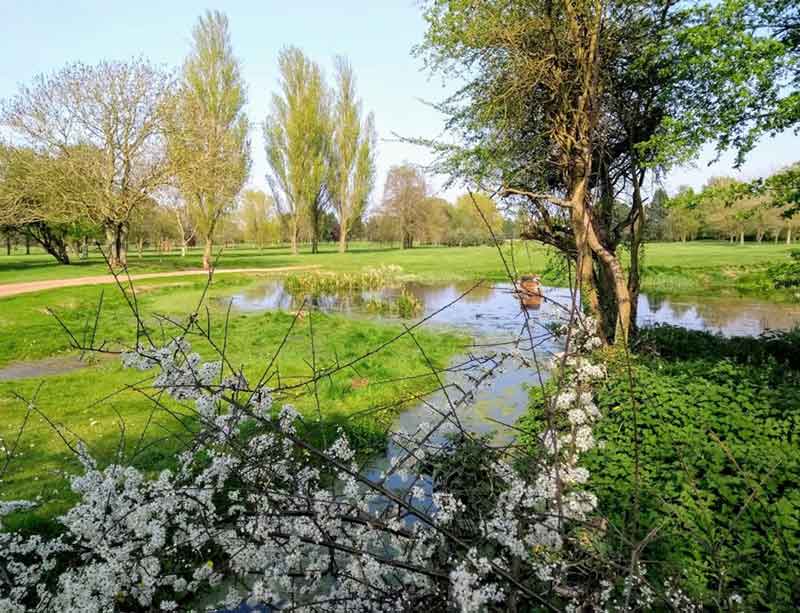 View over pond at Stanton Golf Course