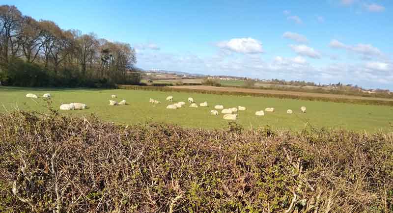 View near Widmerpool