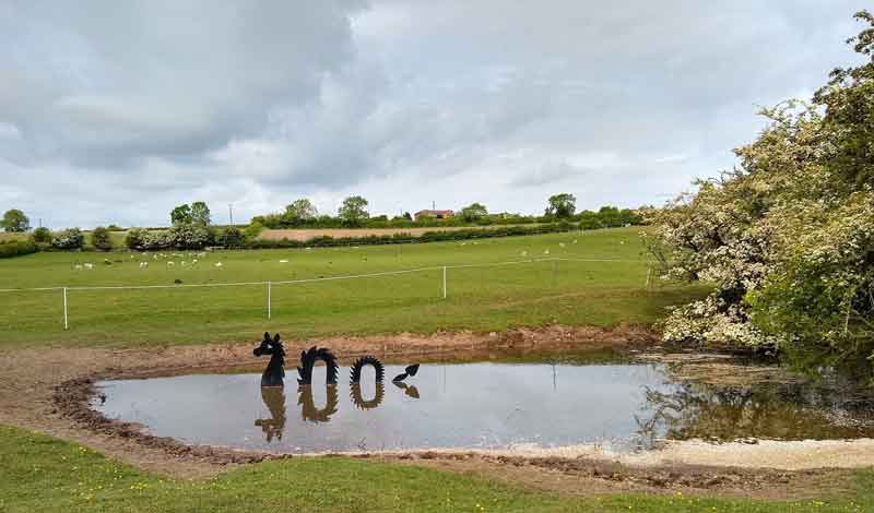 View of 'Nessie' in a Lings Lane Pond