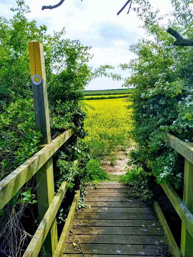View of footbridge over Fairham Brook